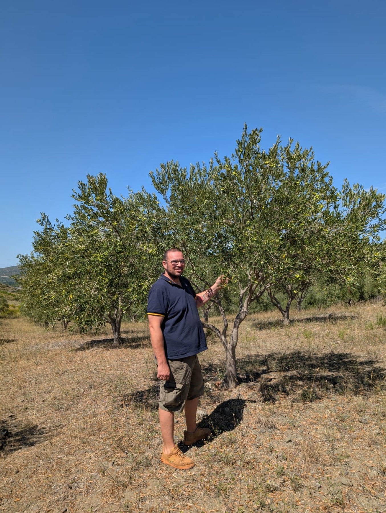Vincent Gallegos dans son oliveraie